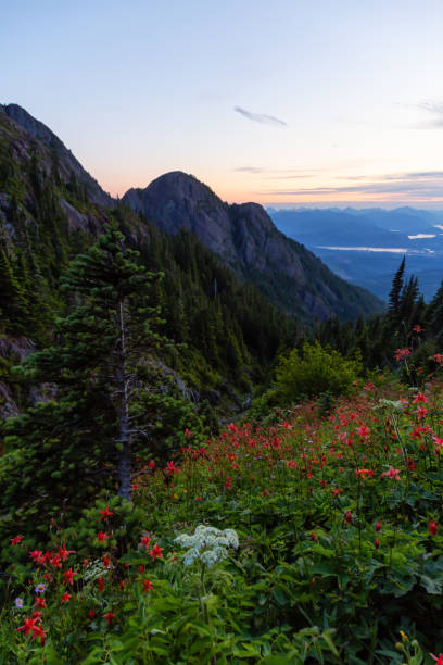 istock Canadian Mountain Landscape 1164819106