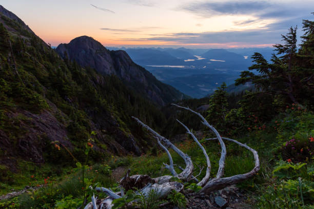 istock Canadian Mountain Landscape 1164819143