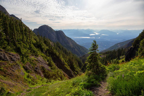 Beautiful view of Canadian Mountain Landscape during a vibrant summer day. Taken at Mt Arrowsmith, near Nanaimo, Vancouver Island, BC, Canada.