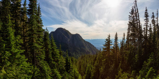 istock Beautiful Canadian Landscape 1164819405