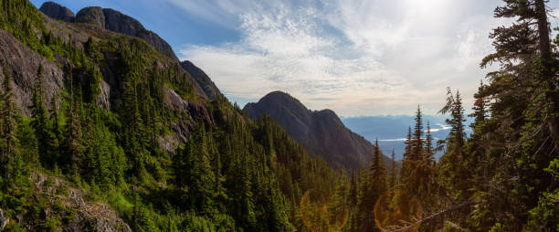 Canadian Mountain Landscape
