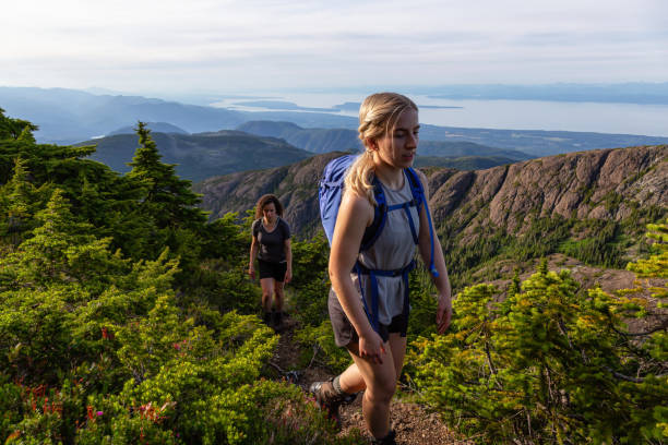 istock Adventurous Friends Hiking in the Mountain 1164819424