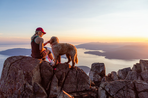 Adventurous Girl is hiking with a dog on top of St. Mark's Mountain during a sunny summer sunset. Located in West Vancouver, British Columbia, Canada.