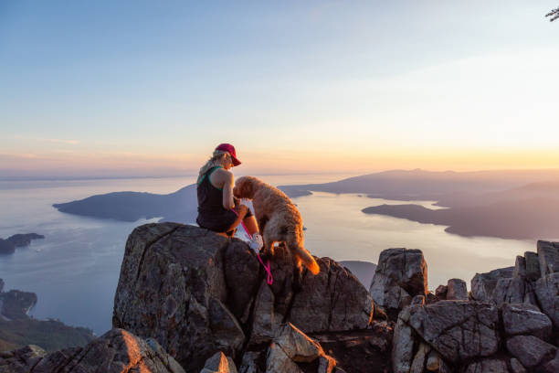 istock Girl with a Dog hiking on a Mountain 1164823021