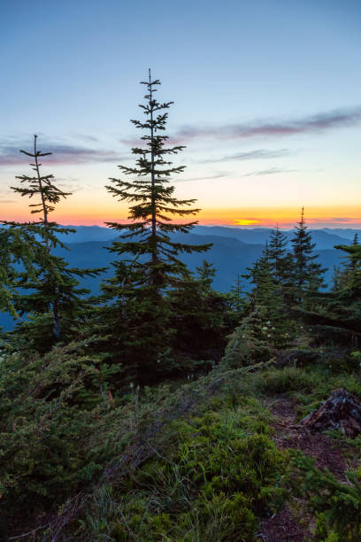 istock American Landscape during a beautiful Sunset 1164824322