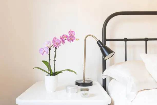 Photo of Purple orchid in pot on side table next to bed