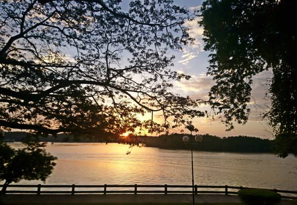 istock The view of the trees while the sun is rising 1164825456