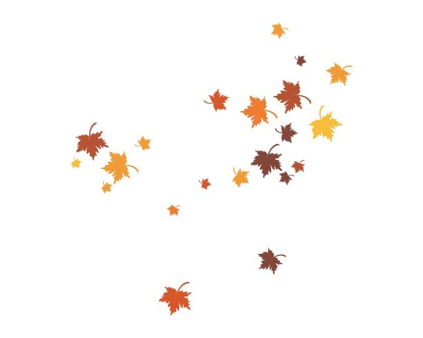 ilustraciones, imágenes clip art, dibujos animados e iconos de stock de plantilla de fondo de hoja de otoño - hojas volar eps