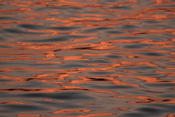 istock Vivid orange color on beautiful motion of wave at beach 1164832749