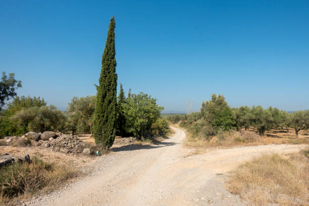 istock The august road between Sant mateu and Tortosa 1164832776