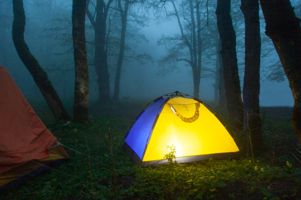 istock tent in night forest with fog background 1164836172