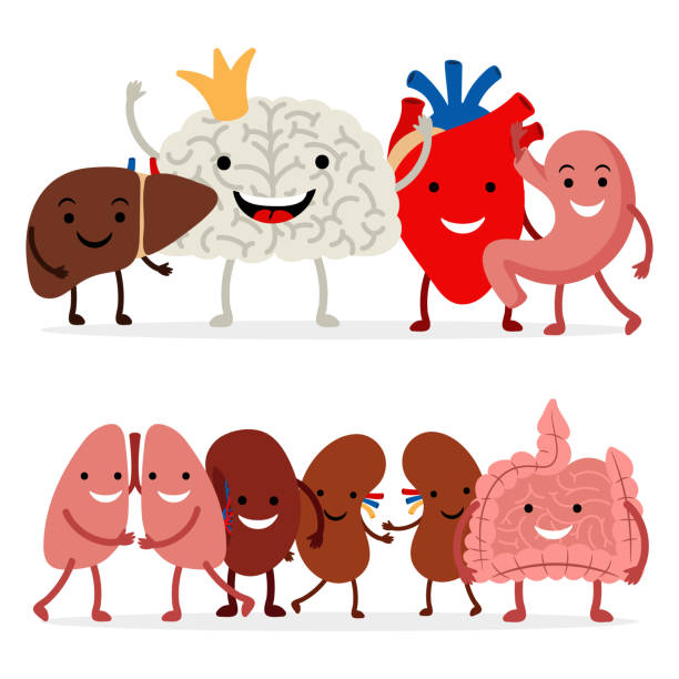 16,400 Funny Biology Cartoons Stock Photos, Pictures & Royalty-Free Images - iStock 16,400 Funny Biology Cartoons Stock Photos, Pictures & Royalty-Free Images - iStock