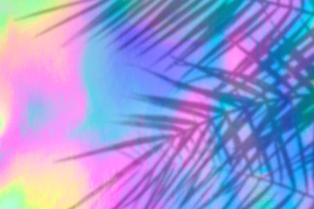 istock holographic background with palm leaves shadows 1164837203