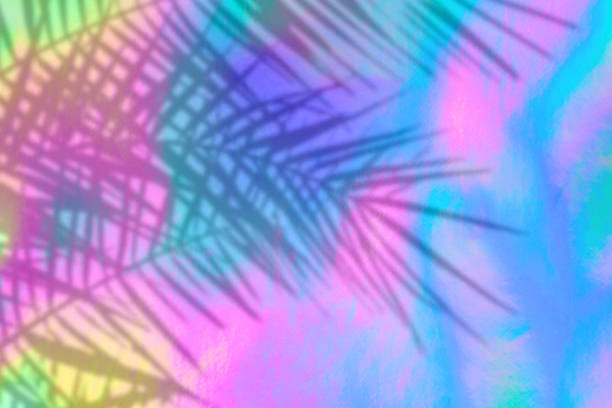 istock holographic background with palm leaves shadows 1164837204