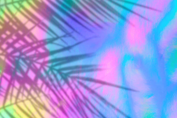 istock holographic background with palm leaves shadows 1164837207
