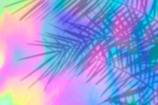 istock holographic background with palm leaves shadows 1164837232