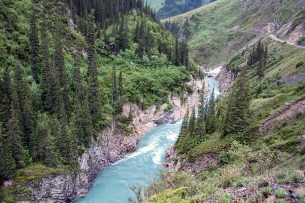 istock Top view of the Naryn River flowing through a mountain gorge 1164838381