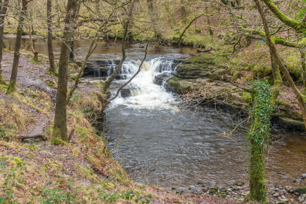 istock Fast flowing at rapids in Welsh countryside 1164839004