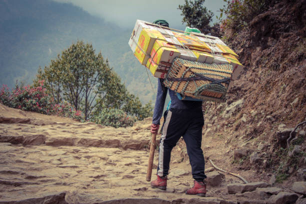 porteur de sherpa portant une lourde charge au népal - lukla photos et images de collection