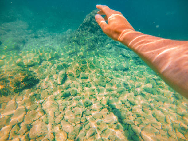 istock first-person view concept man swimming underwater 1164841566