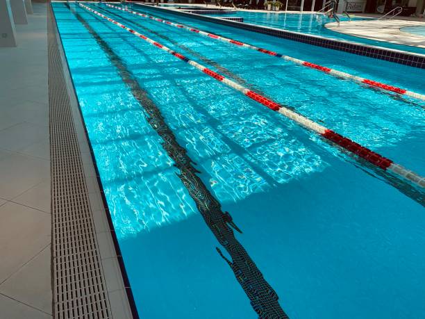 istock View of covered swimming pool with blue clean water. Spa centre 1164847175