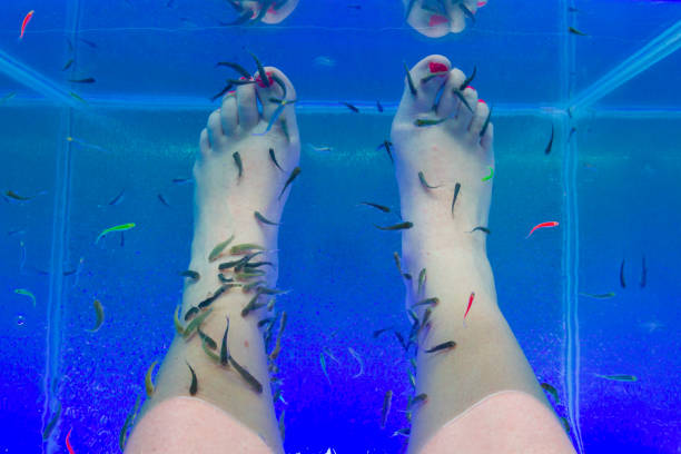 istock Fish Garra rufa in the aquarium treated feet 1164847969