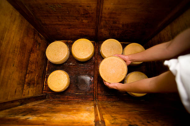 Making of pecorino di Farindola cheese: the cheese wheels are stored in a wooden container to mature. Other images in: