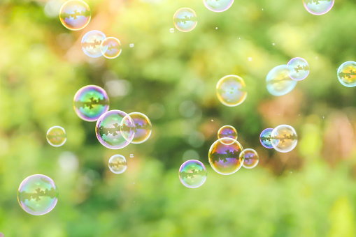 soap bubbles on green nature background