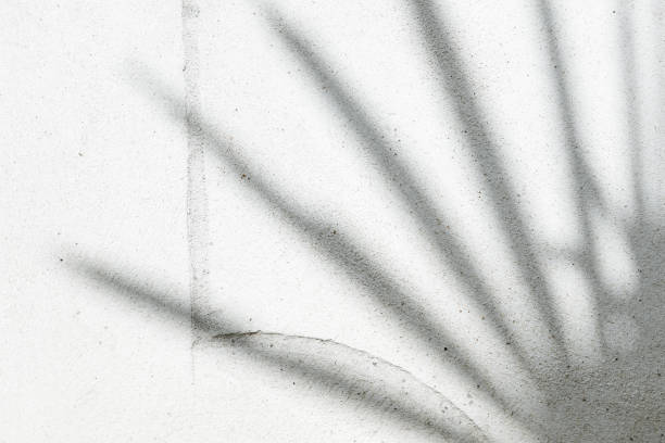 istock abstract background texture of shadows palm leaves on a concrete wall 1164849265