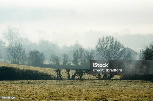 Morgen Nebel Stockfoto und mehr Bilder von Abgeschiedenheit - Abgeschiedenheit, Agrarbetrieb, Ast - Pflanzenbestandteil