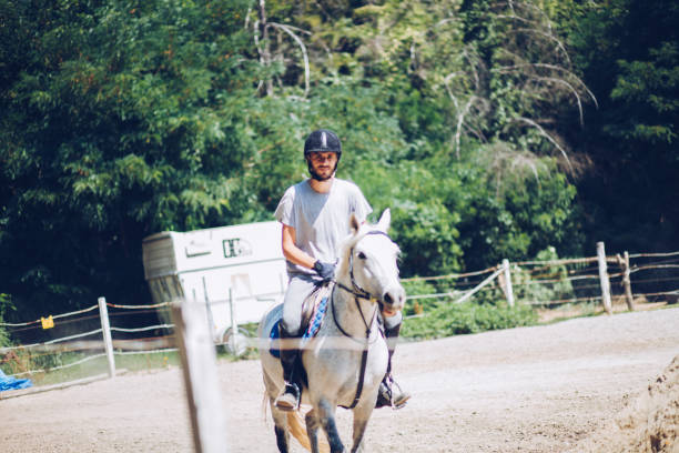 istock Horse with rider on show competition 1164852808