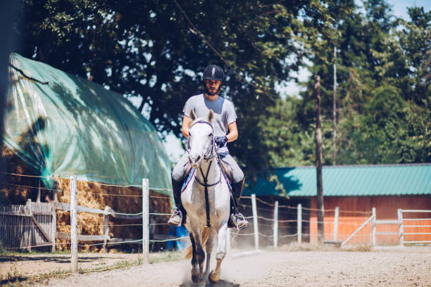 istock Horse with rider on show competition 1164854892