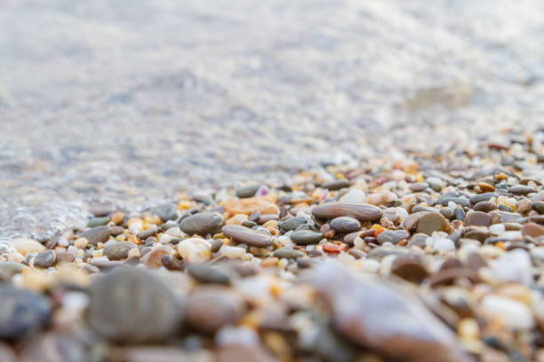 Sea stones on the seashore in the summer