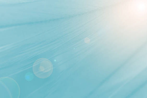 istock Green turquoise color trends chicken feather texture background,Light orange 1164860060