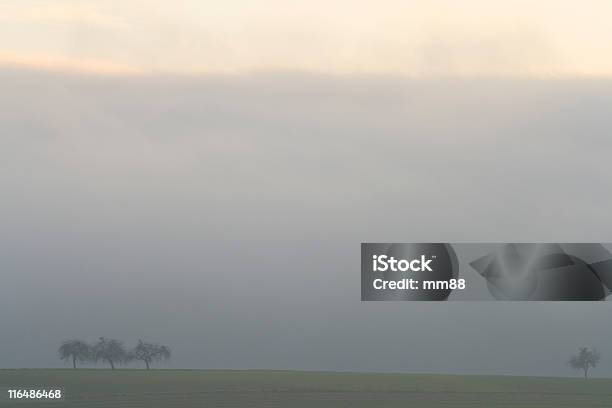 Nebligen Morgen Stockfoto und mehr Bilder von Agrarland - Agrarland, Apfelbaum, Deutschland