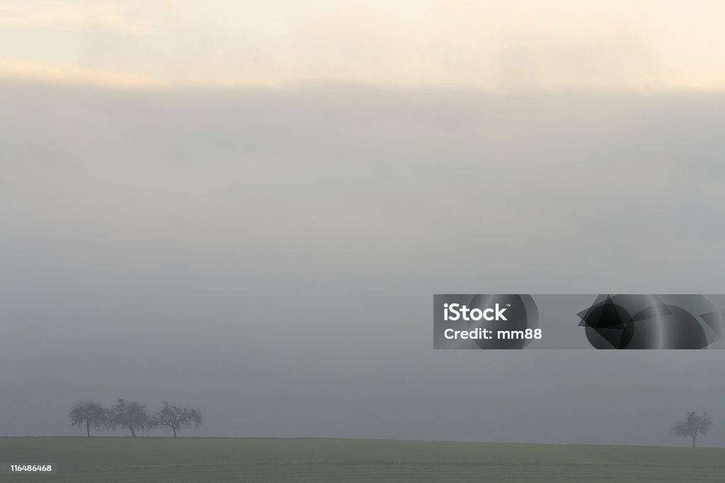 Mattina nebbioso - Foto stock royalty-free di Agricoltura