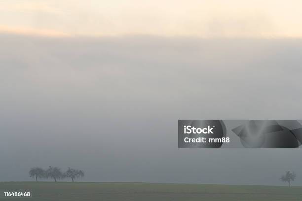 Mattina Nebbioso - Fotografie stock e altre immagini di Agricoltura - Agricoltura, Albero solitario, Albero spoglio