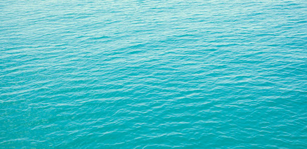 istock Panorama of clear blue sea with waves background 1164866897