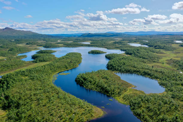 istock Lakes and forests 1164868304