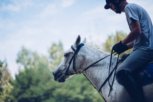 istock Horse with rider on show competition 1164869382