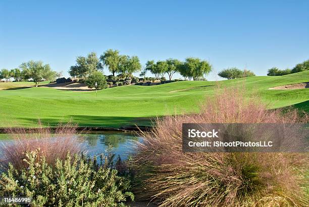 Arizona Golf Course Stock Photo - Download Image Now - Arizona, Color Image, Golf