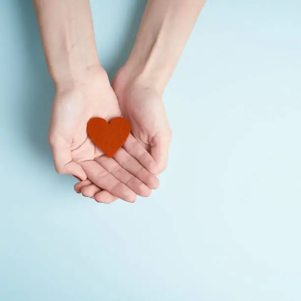 young hands holding or giving a red heart, concept of family and donation or adoption, helth care the medicine concept