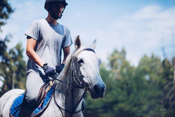 istock Horse with rider on show competition 1164870993