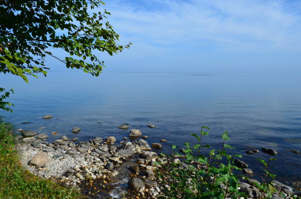 istock Coastal Baikal on a summer morning 1164871044