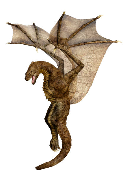 istock 3D illustration fantasy dragon on white 1164872324