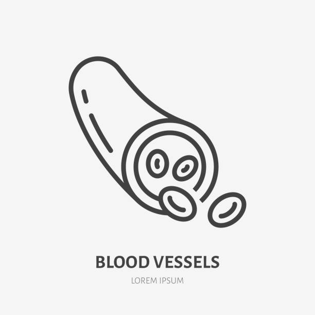Blood vessel flat line icon. Vector thin pictogram of vein with molecules, outline illustration for hematology clinic Blood vessel flat line icon. Vector thin pictogram of vein with molecules, outline illustration for hematology clinic. vein stock illustrations