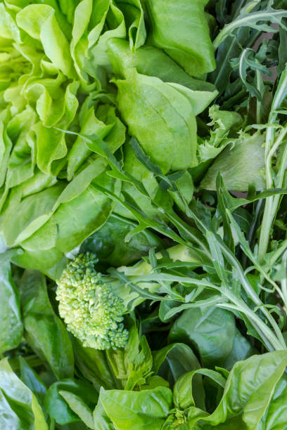istock A set of greens for salad: lettuce, basil, arugula, lettuce. Close-up 1164875182