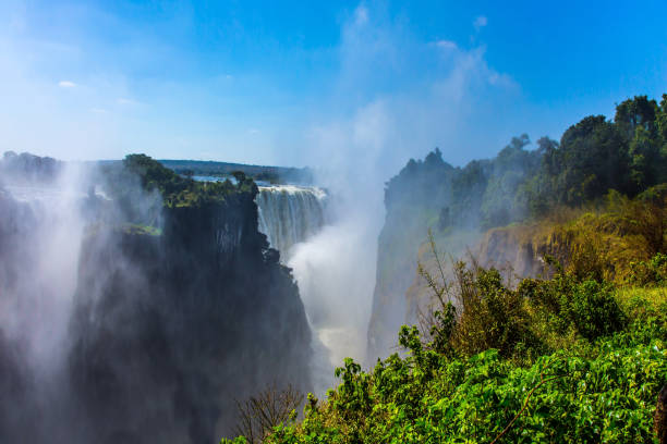istock Giant cloud of mist rose 1164875827