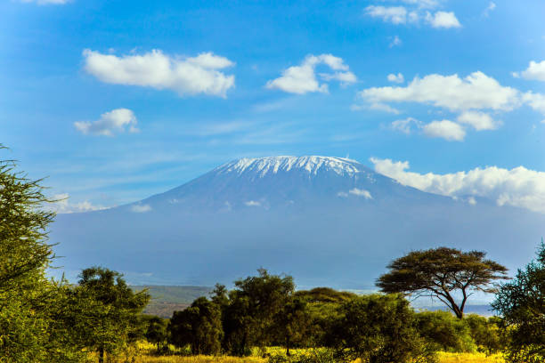 istock Amboseli is a magnificent biosphere reserve 1164875843