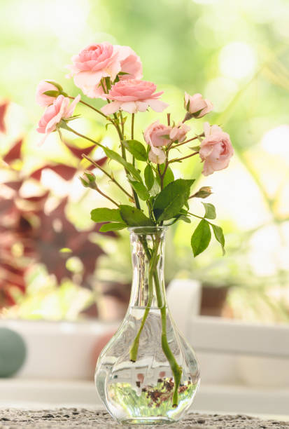istock Vase of roses flowers background. 1164877574